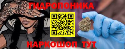 spice Кунгур