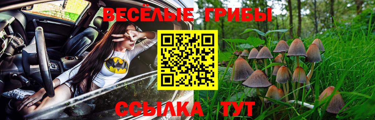 Зеленодольск  Псилоцибиновые грибы прущие грибы  Псилоцибиновые грибы Psilocybe  Вход с VPN 